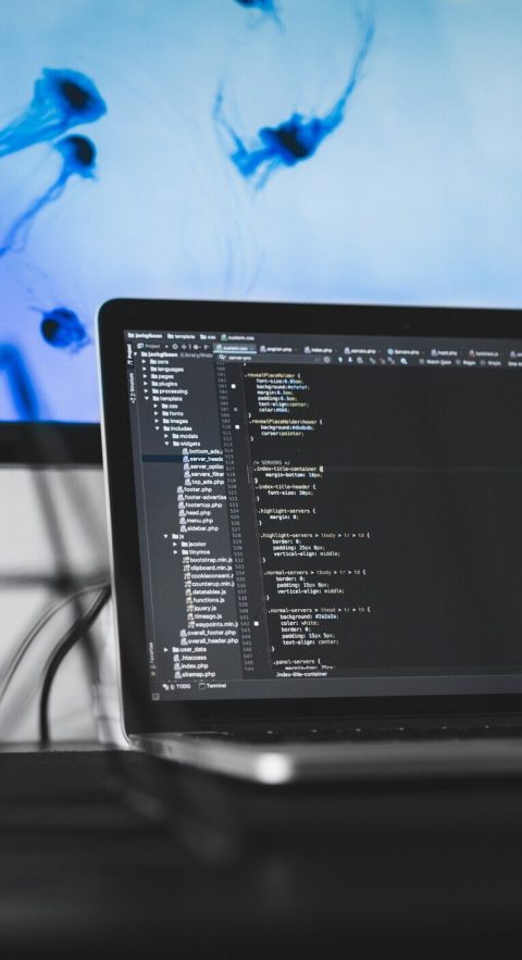 Langages de programmation : Guide complet pour débutants - Solutions ...